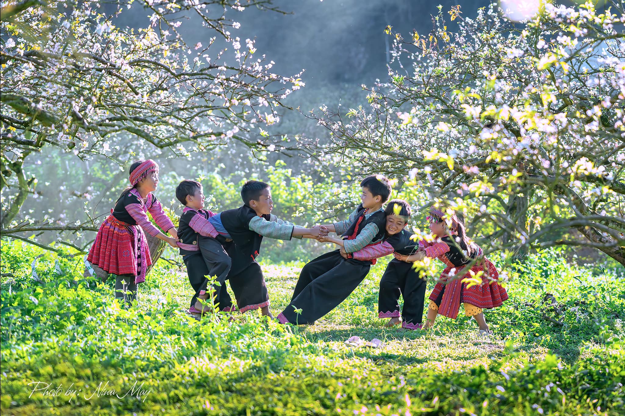 sapa
